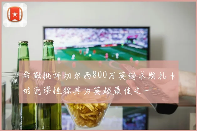 希勒批评切尔西800万英镑求购扎卡的荒谬性称其为英超最佳之一