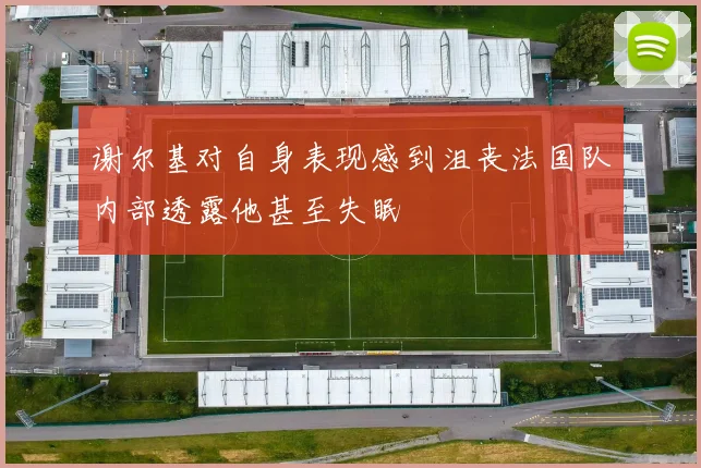 谢尔基对自身表现感到沮丧法国队内部透露他甚至失眠