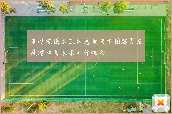 多特蒙德东亚区总裁谈中国球员发展潜力与未来合作机会